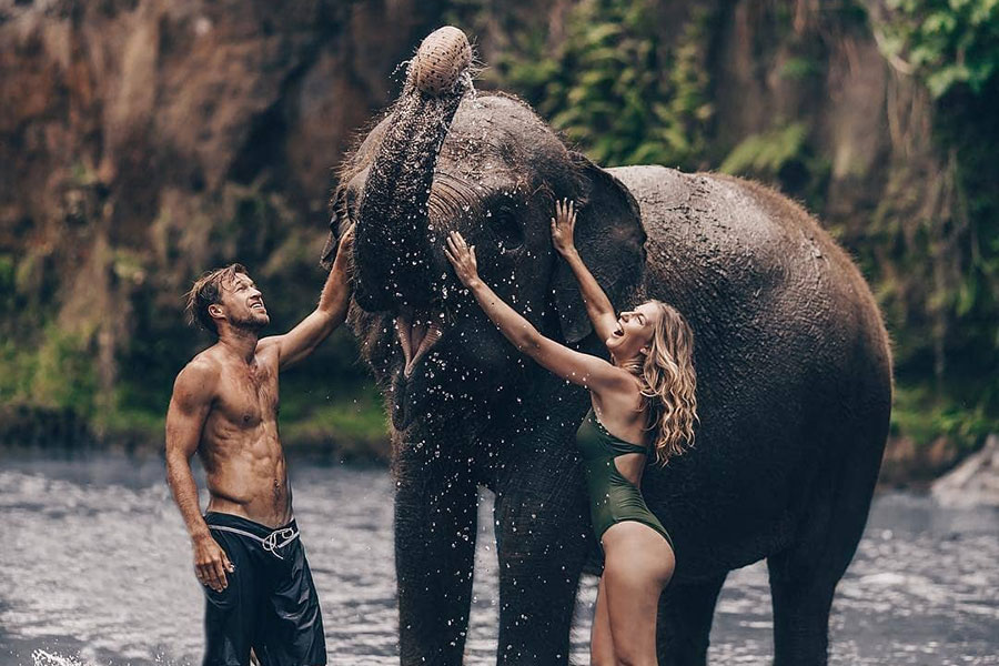 104-(Elephant-Mud-Fun)